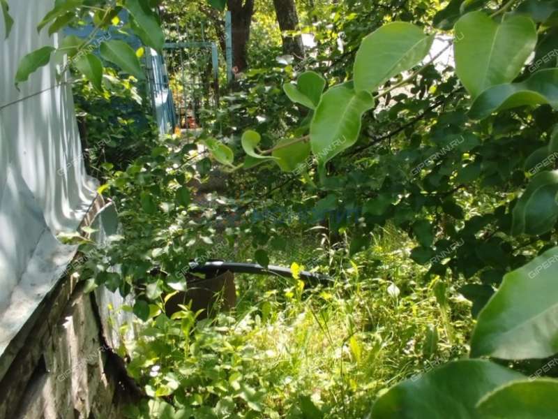 дача на снт спутник