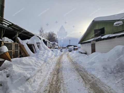 gorod-bor-gorodskoy-okrug-bor фото
