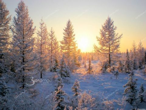 2-komnatnaya-ul-podvornaya-d-1 фото