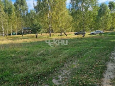 selo-kamenka-vorotynskiy-gorodskoy-okrug фото