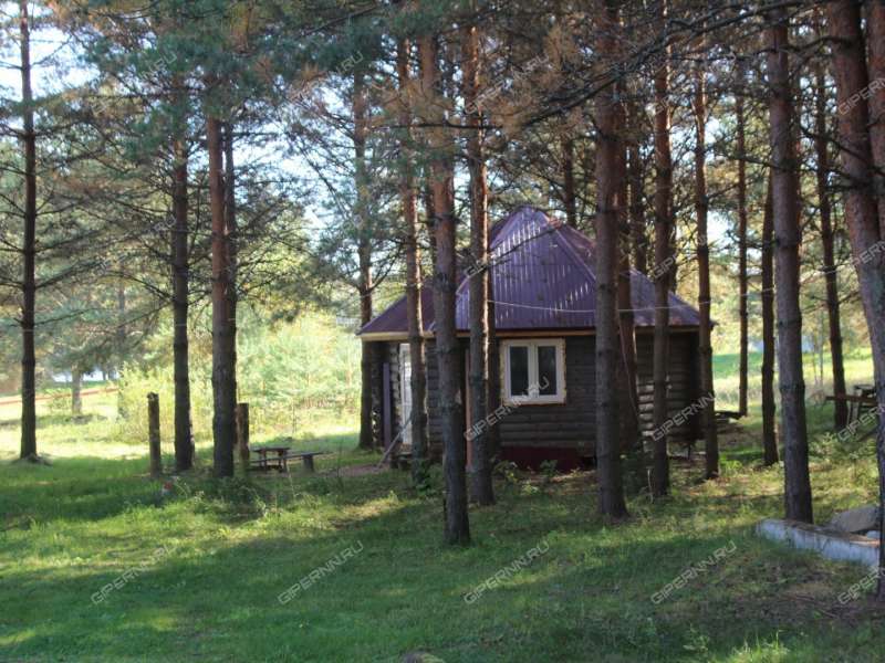 имущественный комплекс под недвижимость для отдыха, развлечений на  деревня Хмелевка