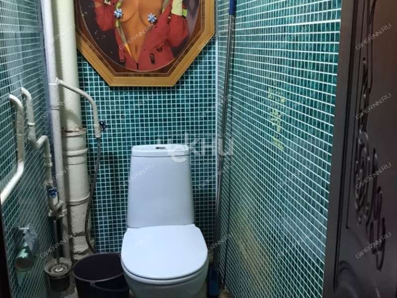 однокомнатная квартира на Агрономической улице дом 134