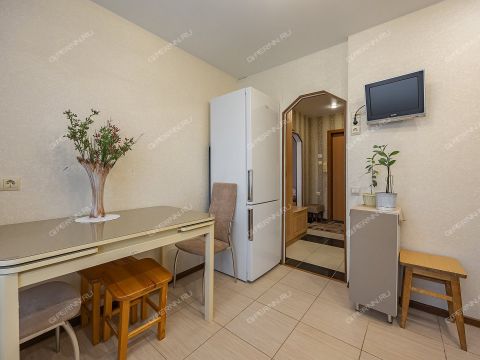 1-komnatnaya-ul-brinskogo-d-1 фото