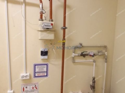 ul-chkalova-d-12a фото
