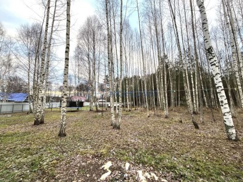 dom-derevnya-slobodki-sokolskiy-gorodskoy-okrug фото