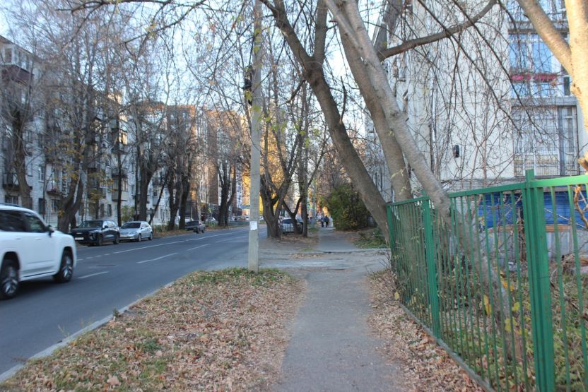 Фото: Анна Синаревская / gipernn.ru