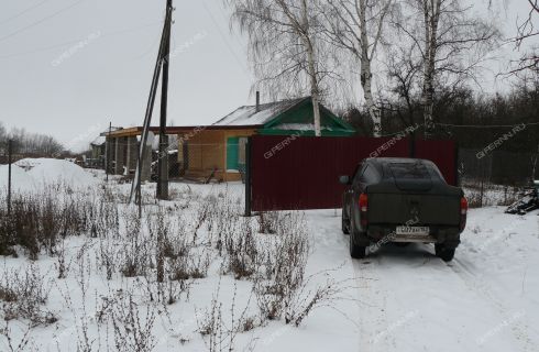 Погода в лисья на 10 дня. Деревня Лисья Поляна Нижегородская область. Село Лисье.
