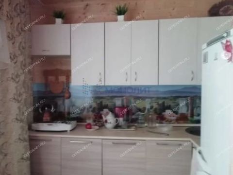 dacha-selo-kamenki-bogorodskiy-municipalnyy-okrug фото