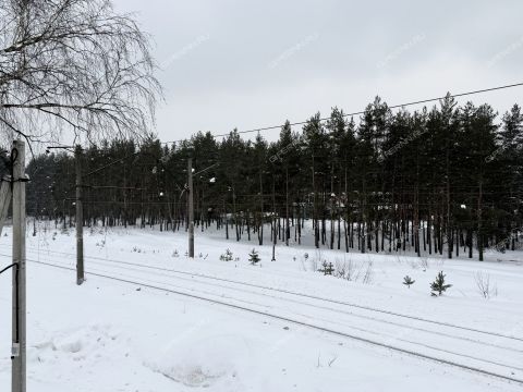 ul-11-ya-dubravnaya фото