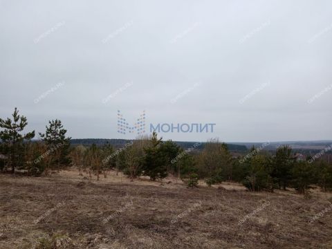 derevnya-nepecino-bogorodskiy-municipalnyy-okrug фото