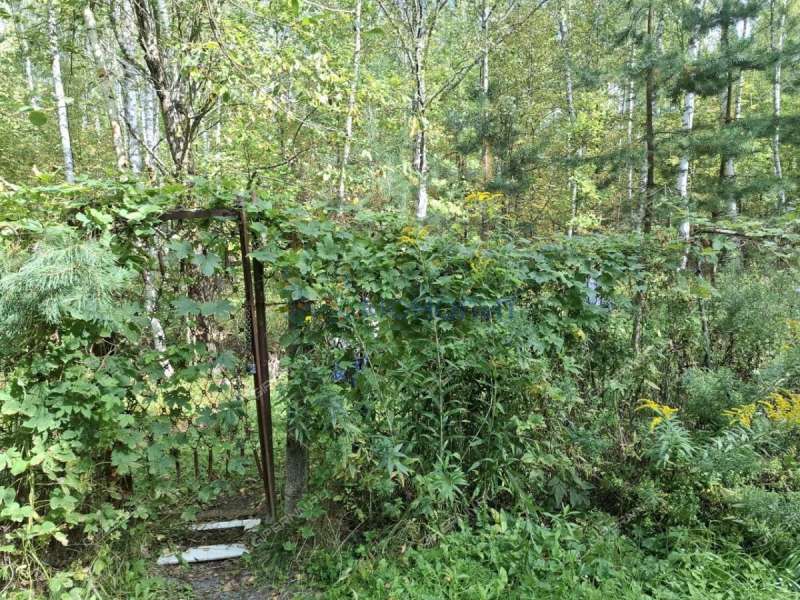 земельный участок 40,06 сотки Русь тер СнТ Русь