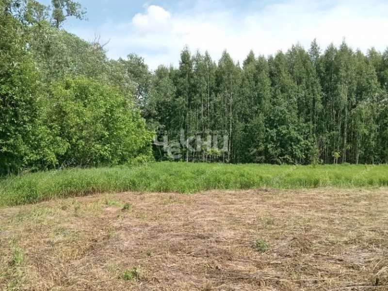 земельный участок 15 соток деревня Фаладово