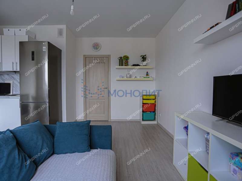 однокомнатная квартира на Черкесской улице дом 2 деревня Анкудиновка