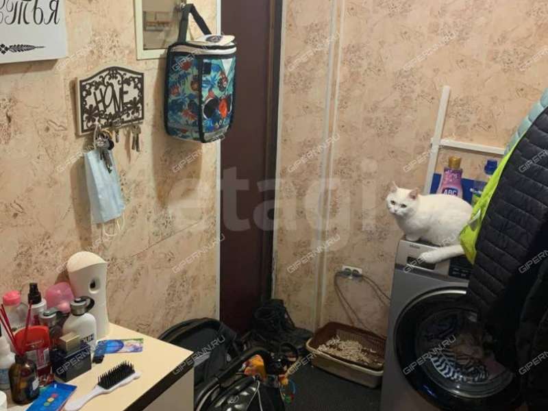 двухкомнатная квартира на улице 40 лет Октября дом 16а