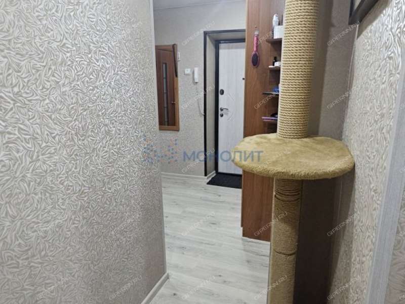 двухкомнатная квартира на улице Ступишина дом 11 город Кстово