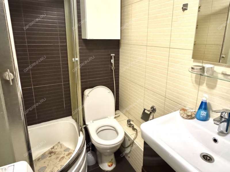 трёхкомнатная квартира на проспекте Ленина дом 55/1