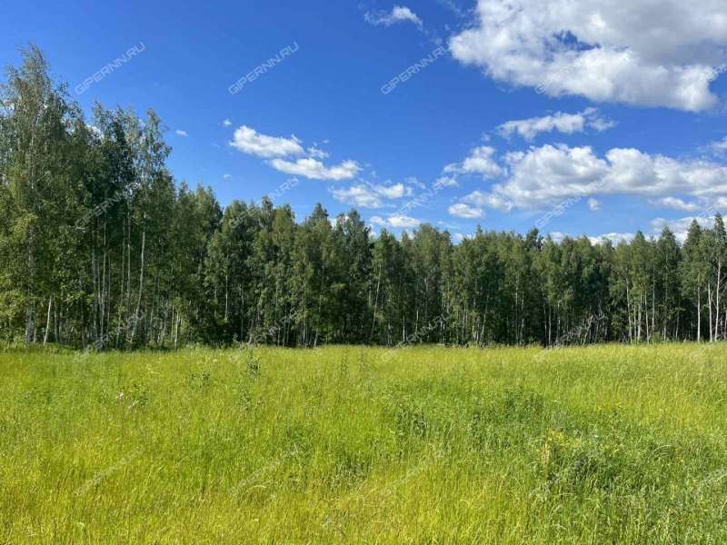 Купить Участок Кстовский Район Нижегородской