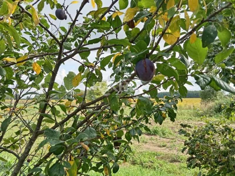 дом на  деревня Бутаково