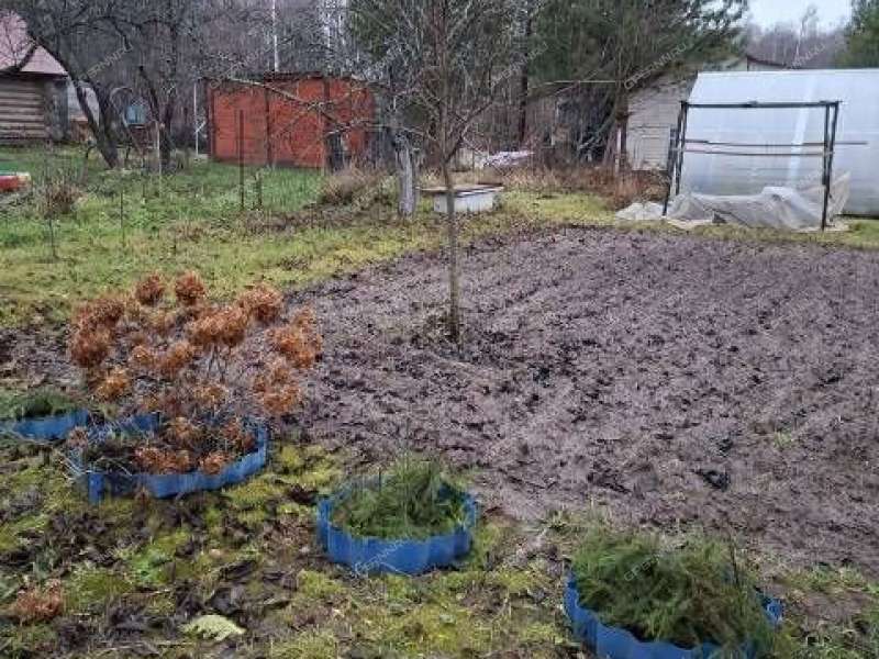 дача на  деревня Новая Пунерь