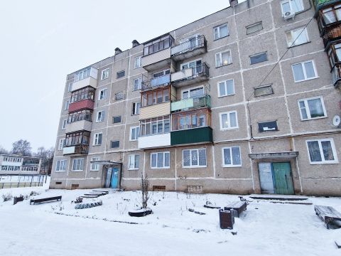 2-komnatnaya-derevnya-podlesovo-kstovskiy-rayon фото