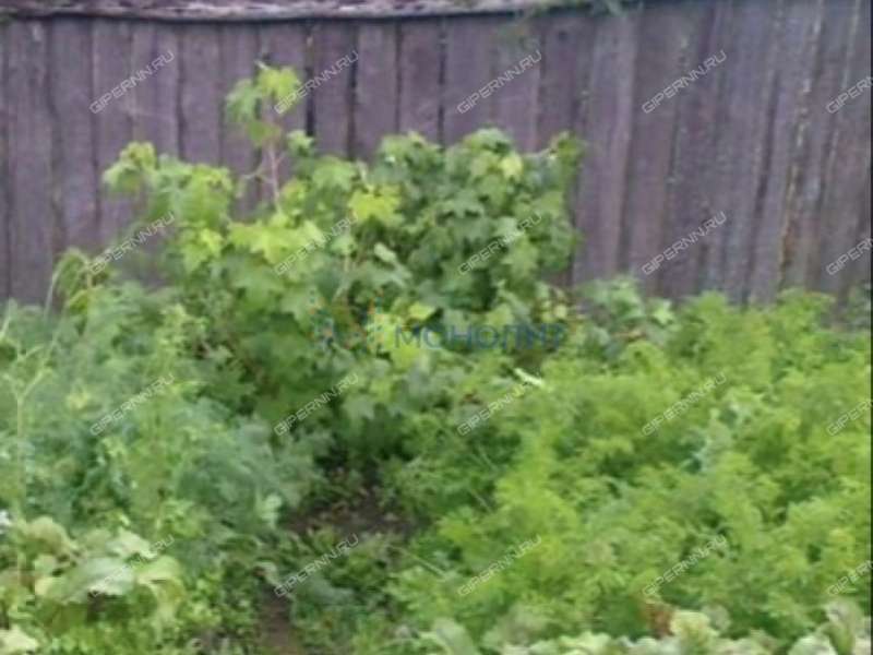 дом на - деревня Жестелёво