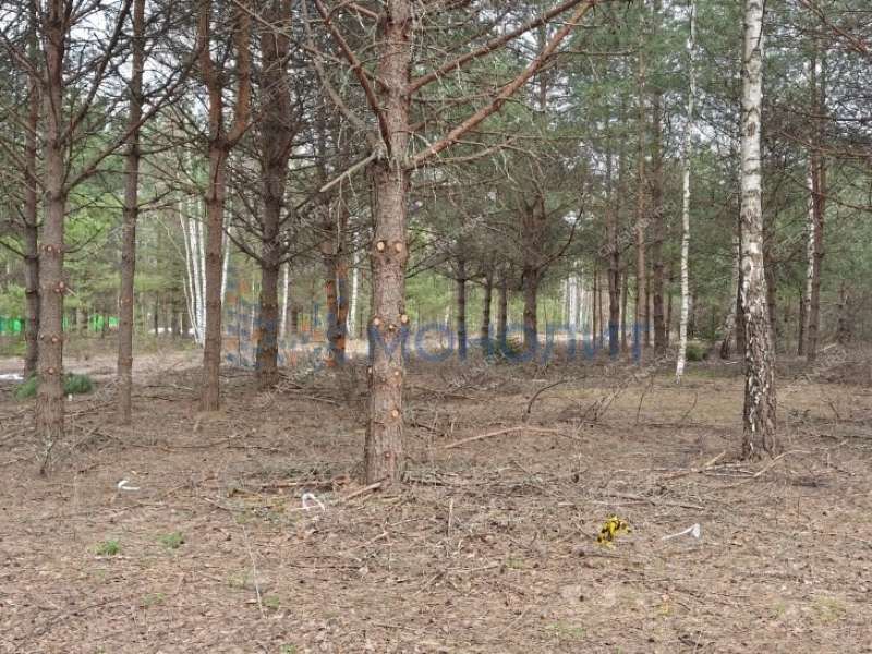 земельный участок 16 соток Ореховая улица Ивановское слобода