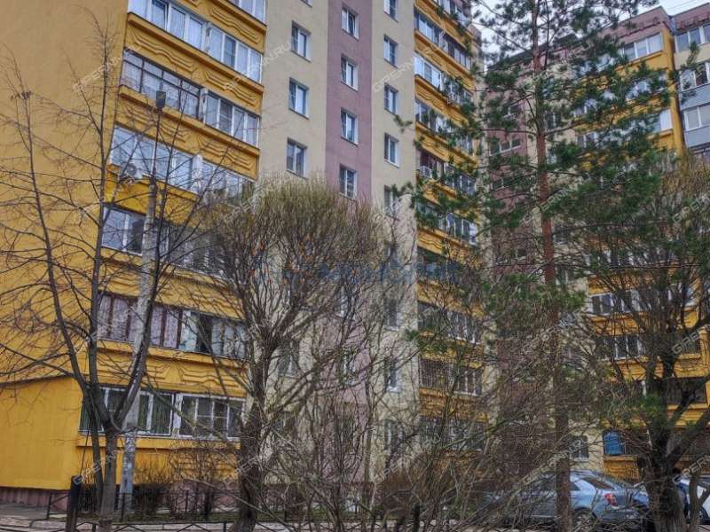 трёхкомнатная квартира на Молитовской улице дом 2