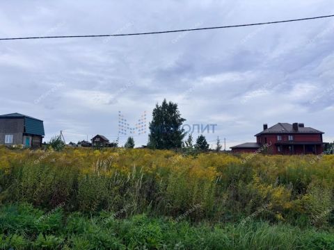 derevnya-sysoevka-bogorodskiy-municipalnyy-okrug фото