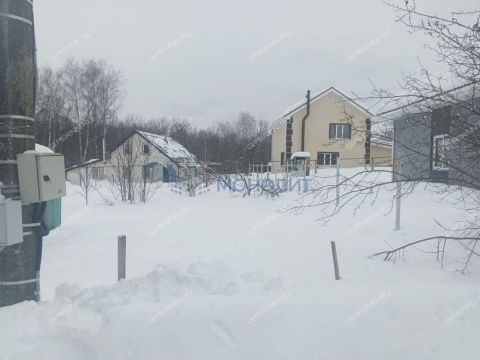 zolotoe-runo-derevnya-ogolihino-ter-snt-gorodskoy-okrug-bor фото