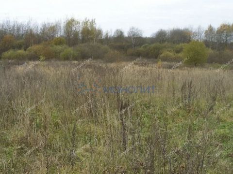 selo-elhovka-kstovskiy-rayon фото