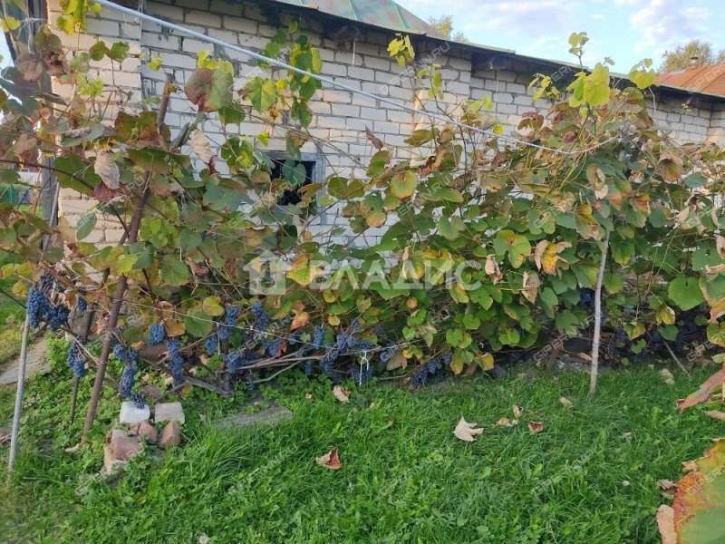 дом на улице Труда село Вазьянка