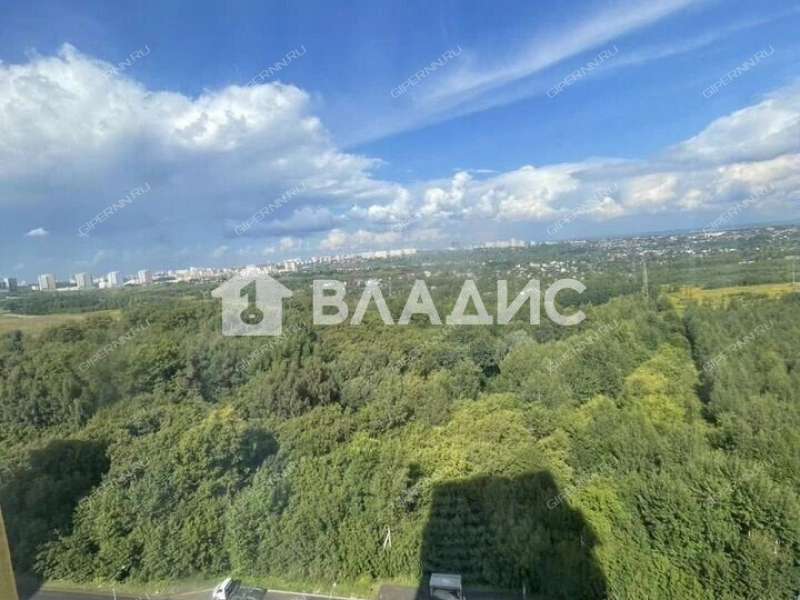 трёхкомнатная квартира на Русской улице улице дом 15 деревня Анкудиновка