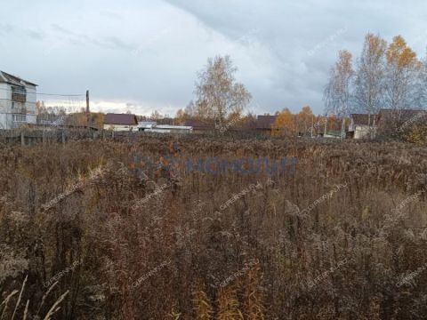 dom-selo-gorodishhi-krasnoslobodskiy-selsovet-gorodskoy-okrug-bor фото