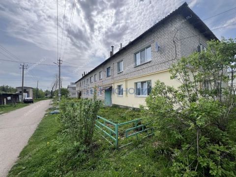 2-komnatnaya-selo-dudenevo-bogorodskiy-municipalnyy-okrug фото