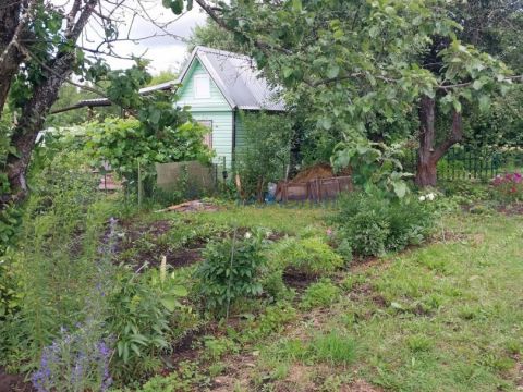 dacha-zarya-3-selo-redkino-redkinskiy-selsovet-ter-snt-gorodskoy-okrug-bor фото