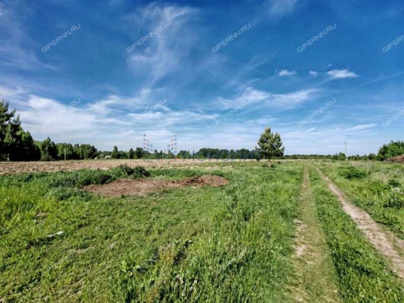 земельный участок 950 соток - деревня Трифакино