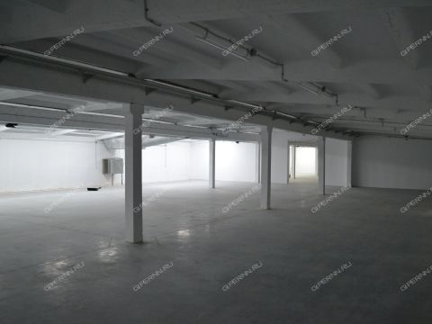 territoriya-promzona-pticefabriki-balahninskiy-municipalnyy-okrug фото