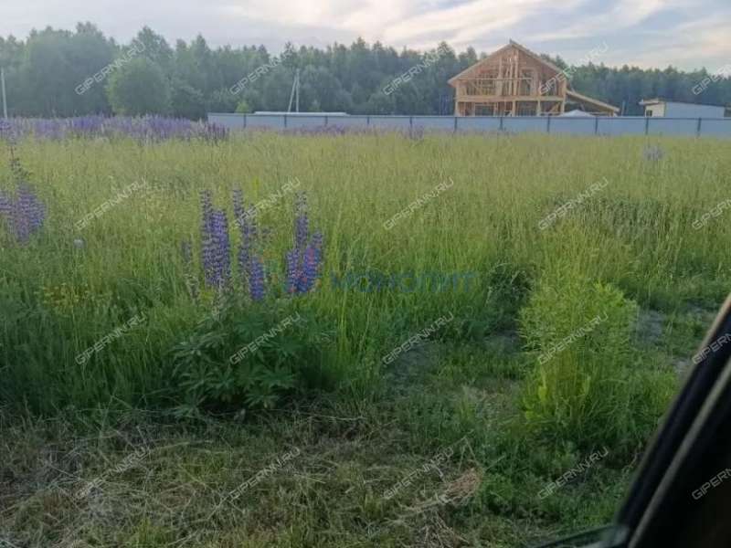 земельный участок 10 соток Сергеевская улица деревня Берёзовка