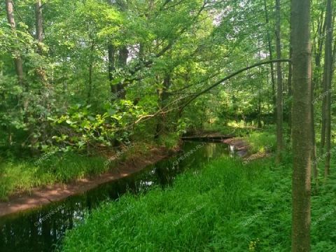 poselok-sovhoznyy-balahninskiy-municipalnyy-okrug фото
