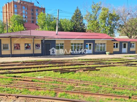 ul-guzhevaya-d-50 фото